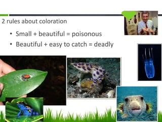 2 rules about coloration
• Small + beautiful = poisonous
• Beautiful + easy to catch = deadly
 