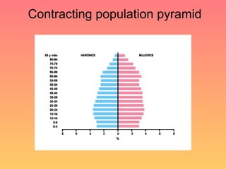 Contracting population pyramid 