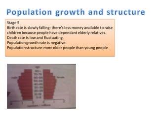 Population growth rate is zero.