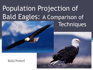 Kelsi Potterf
Population Projection of
Bald Eagles: A Comparison of
Techniques
 
