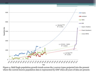 Population Projection of Bald Eagles | PPT