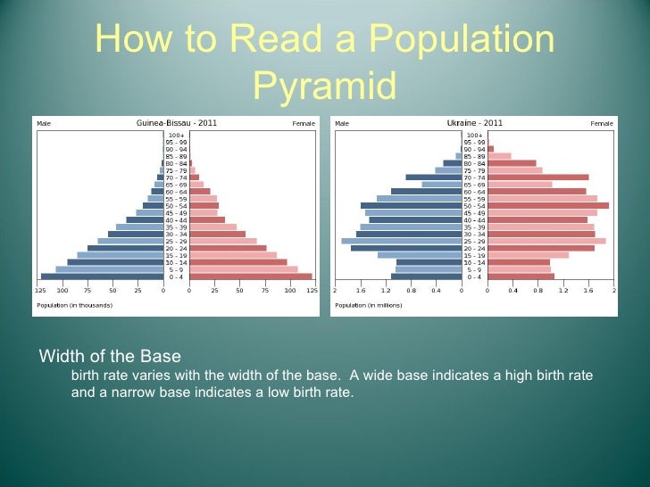 population pyramid definition