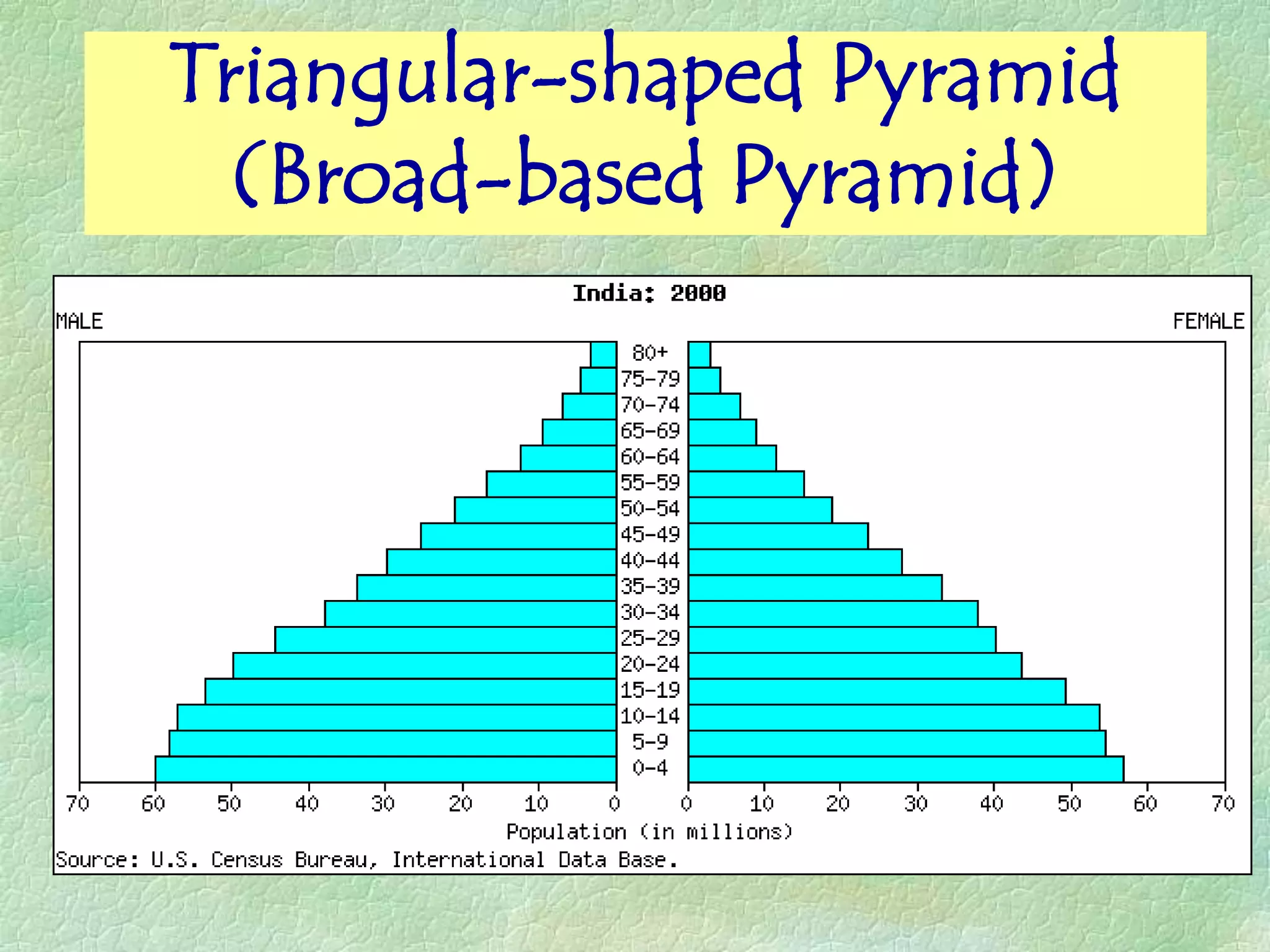 Triangular-shaped Pyramid
  (Broad-based Pyramid)
 