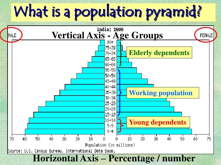 What is a population pyramid?