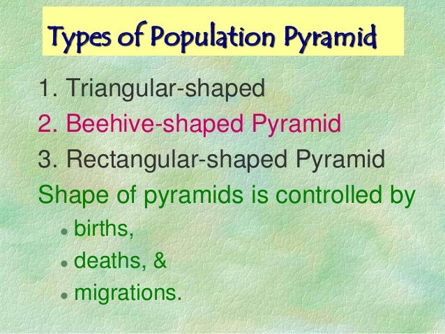 top heavy broad based population structure The shape of the population pyramid efficiently communicates considerable information about the age-sex structure of a specific population a broad-based pyramid indicates that people in the younger age categories make up a relatively large proportion of the population, and a narrow or pointed top indicates that older people make up a . top heavy broad based population structure The shape of the population pyramid efficiently communicates considerable information about the age-sex structure of a specific population a broad-based pyramid indicates that people in the younger age categories make up a relatively large proportion of the population, and a narrow or pointed top indicates that older people make up a .