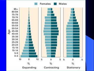 Population pyramids.ppt