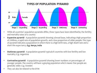 Population pyramids.ppt