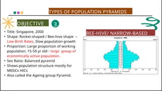 population pyramids.pptxPatterns of where people live/ how people are ...