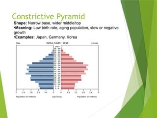 Iran Constrictive Pyramid Population_Pyramids. Presentation. types pptx | PPTX