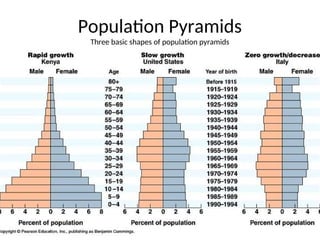 Population Pyramids
Three basic shapes of population pyramids
.
 