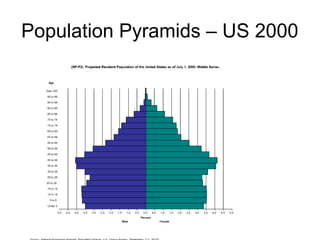 Population Pyramids – US 2000
 