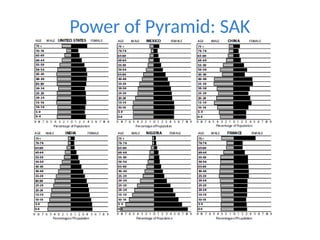 Power of Pyramid: SAK
 