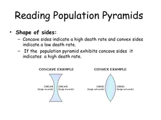 Reading Population Pyramids
• Shape of sides:
– Concave sides indicate a high death rate and convex sides
indicate a low death rate.
– If the population pyramid exhibits concave sides it
indicates a high death rate.
 