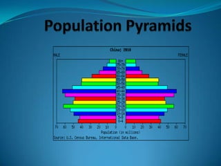 Population pyramids powerpoint