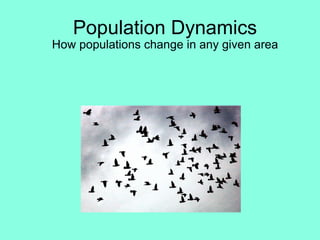 Population Dynamics How populations change in any given area 