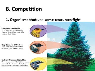 B. Competition1. Organisms that use same resources fight