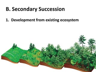 B. Secondary SuccessionDevelopment from existing ecosystem
