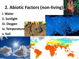 2. Abiotic Factors (non-living)i. Waterii. Sunlightiii. Oxygeniv. Temperaturev. Soil