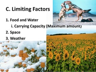 C. Limiting Factors1. Food and Wateri. Carrying Capacity (Maximum amount)2. Space3. Weather