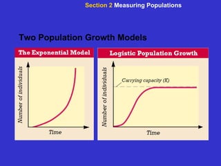 Two Population Growth Models Section 2  Measuring Populations 