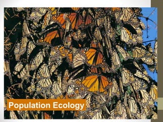 Population Ecology
               2005-2006
 