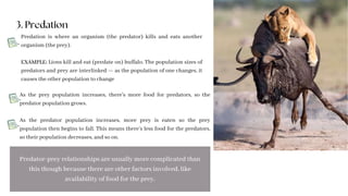 Predate Image Examples Populations and Ecosystems.pptx