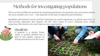 Populations and Ecosystems.pptx