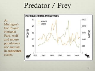 Predator / Prey
At
Michigan's
Isle Royale
National
Park, wolf
and moose
populations
rise and fall
in connected
cycles.
13
 