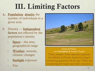 III. Limiting Factors
A. Population density the
number of individuals in a
given area.
B. Density — Independent
factors not effected by the
population’s density
1. Space -- the area,
geographical range
2. Weather, seasons,
climatic changes
3. Sunlight exposure
4. Fire
14
Zumwalt Prairie,
near Enterprise & Joseph, Oregon
These Juniper Trees sparsely populate
the hillside of North America's largest
remaining grassland of its type. They are
competing for water and other resources.
 