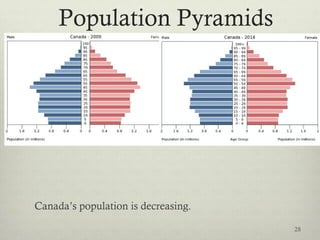 Population Pyramids
Canada’s population is decreasing.
28
 