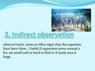 observe tracks ,nests or other signs that the organism
have been there . Useful if organisms move around a
lot, are small and or hard to find or if study area is
large.
 