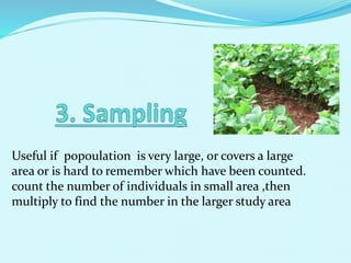 Useful if popoulation is very large, or covers a large
area or is hard to remember which have been counted.
count the number of individuals in small area ,then
multiply to find the number in the larger study area
 
