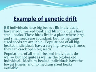 BB individuals have big beaks , Bb individuals
have medium-sized beak and bb individuals have
small beaks. These birds live in a place where large
and small seeds are abundant, but no medium-
sized seeds are available . Populations of all big-
beaked individuals have a very high average fitness
they can crack open big seeds.
Populations of all small-beaked individuals do
well— but not quite as well as the big-beaked
individual. Medium-beaked individuals have the
lowest fitness .and no medium sized beaks
available.
 