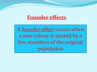 Founder effects
A founder effect occurs when
a new colony is started by a
few members of the original
population
 