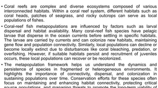 • Coral reefs are complex and diverse ecosystems composed of various
interconnected habitats. Within a coral reef system, different habitats such as
coral heads, patches of seagrass, and rocky outcrops can serve as local
populations of fishes.
• Coral-reef fish metapopulations are influenced by factors such as larval
dispersal and habitat availability. Many coral-reef fish species have pelagic
larvae that disperse in the ocean currents before settling in specific habitats.
The larvae are carried by currents and can colonize new habitats, maintaining
gene flow and population connectivity. Similarly, local populations can decline or
become locally extinct due to disturbances like coral bleaching, predation, or
overfishing. However, if suitable habitats persist and recruitment of juveniles
occurs, these local populations can recover or be recolonized.
• The metapopulation framework helps us understand the dynamics and
persistence of species in fragmented or heterogeneous environments. It
highlights the importance of connectivity, dispersal, and colonization in
sustaining populations over time. Conservation efforts for these species often
focus on maintaining and enhancing habitat connectivity, protecting critical
 