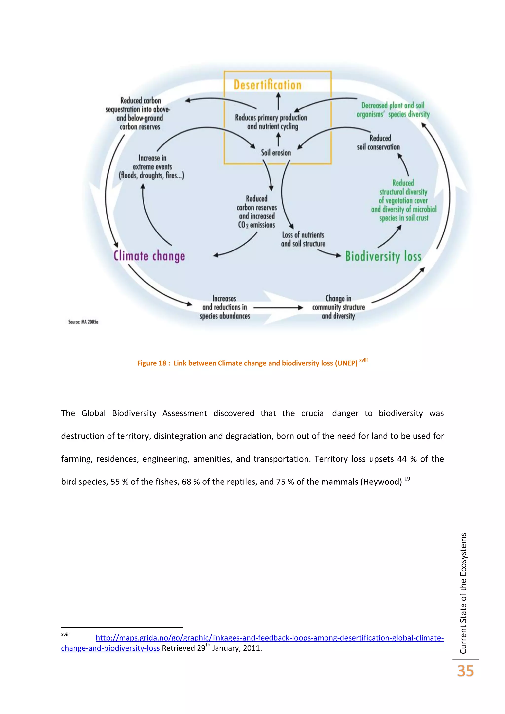 Figure 18 : Link between Climate change and biodiversity loss (UNEP)

xviii

The Global Biodiversity Assessment discovered that the crucial danger to biodiversity was
destruction of territory, disintegration and degradation, born out of the need for land to be used for
farming, residences, engineering, amenities, and transportation. Territory loss upsets 44 % of the

xviii

http://maps.grida.no/go/graphic/linkages-and-feedback-loops-among-desertification-global-climateth
change-and-biodiversity-loss Retrieved 29 January, 2011.

Current State of the Ecosystems

bird species, 55 % of the fishes, 68 % of the reptiles, and 75 % of the mammals (Heywood) 19

35

 