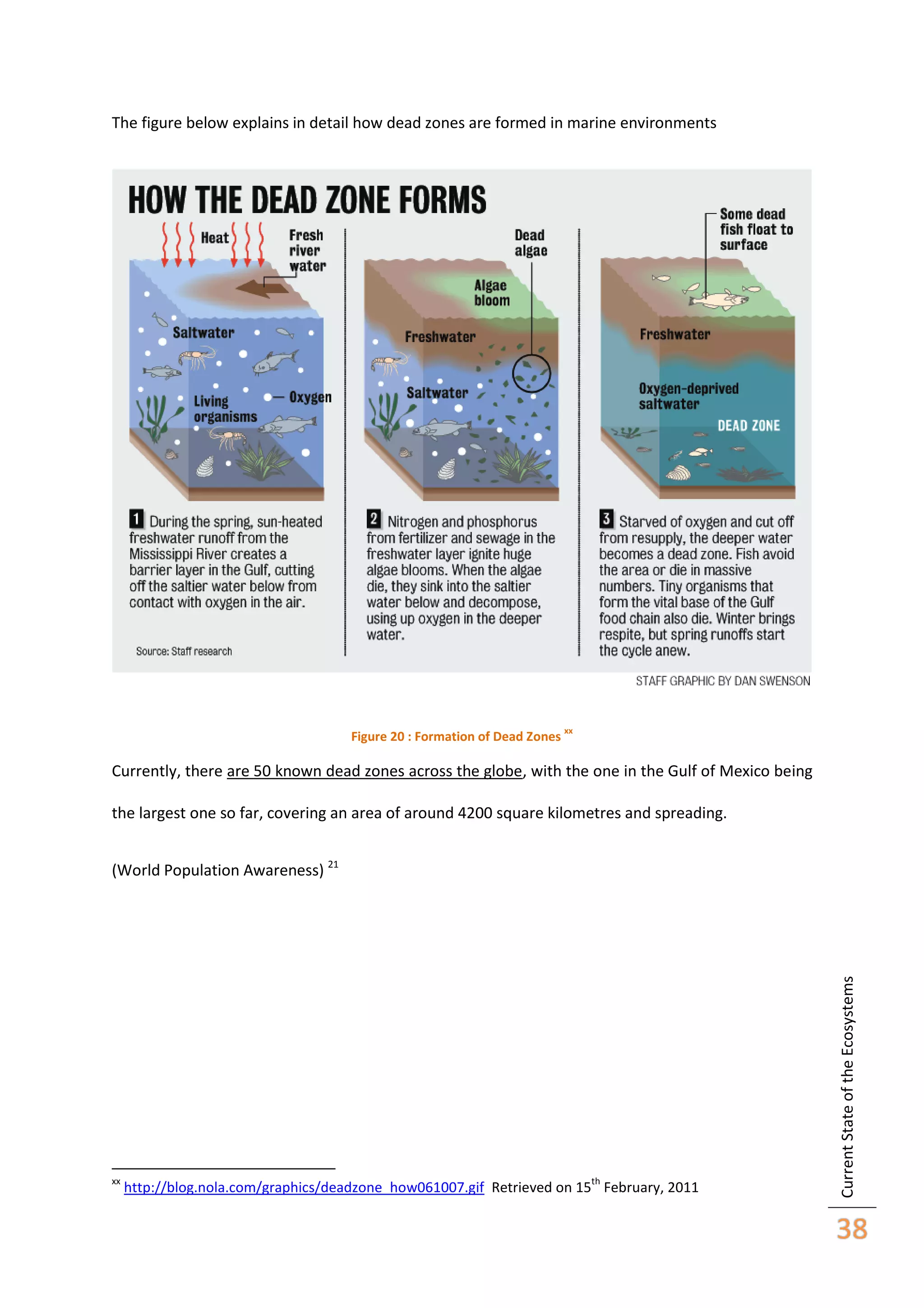 The figure below explains in detail how dead zones are formed in marine environments

Figure 20 : Formation of Dead Zones

xx

Currently, there are 50 known dead zones across the globe, with the one in the Gulf of Mexico being
the largest one so far, covering an area of around 4200 square kilometres and spreading.

xx

th

http://blog.nola.com/graphics/deadzone_how061007.gif Retrieved on 15 February, 2011

Current State of the Ecosystems

(World Population Awareness) 21

38

 