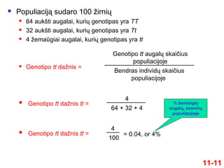  Populiaciją sudaro 100 žirnių
 64 aukšti augalai, kurių genotipas yra TT
 32 aukšti augalai, kurių genotipas yra Tt
 4 žemaūgiai augalai, kurių genotipas yra tt
11-11
 Genotipo tt dažnis tt =
64 + 32 + 4
4
 Genotipo tt dažnis =
Bendras individų skaičius
populiacijoje
Genotipo tt augalų skaičius
populiacijoje
 Genotipo tt dažnis tt =
100
4
= 0.04, or 4%
% žemaūgių
augalų, esančių
populiacijoje
 