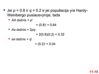  Jei p = 0.8 ir q = 0.2 ir jei populiacija yra Hardy-
Weinbergo pusiausvyroje, tada
 AA dažnis = p2
= (0.8)2
= 0.64
 Aa dažnis = 2pq
= 2(0.8)(0.2) = 0.32
 aa dažnis = q2
= (0.2)2
= 0.04
11-15
 