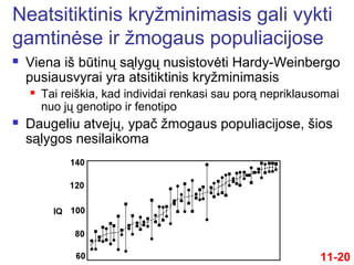  Viena iš būtinų sąlygų nusistovėti Hardy-Weinbergo
pusiausvyrai yra atsitiktinis kryžminimasis
 Tai reiškia, kad individai renkasi sau porą nepriklausomai
nuo jų genotipo ir fenotipo
 Daugeliu atvejų, ypač žmogaus populiacijose, šios
sąlygos nesilaikoma
Neatsitiktinis kryžminimasis gali vykti
gamtinėse ir žmogaus populiacijose
11-20
 