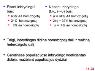 11-28
 Esant inbrydingui
bus:
 68% AA homozigotų
 24% heterozigotų
 8% aa homozigotų
 Nesant inbrydingo
(t.y., F=0) bus:
 p2
= 64% AA homozigotų
 2pq = 32% heterozigotų
 q2
= 4% aa homozigotų
 Taigi, inbrydingas didina homozigotų dalį ir mažiną
heterozigotų dalį
 Gamtinėse populiacijose inbrydingo koeficientas
didėja, mažėjant populiacijos dydžiui
 