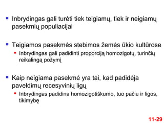 11-29
 Inbrydingas gali turėti tiek teigiamų, tiek ir neigiamų
pasekmių populiacijai
 Teigiamos pasekmės stebimos žemės ūkio kultūrose
 Inbrydingas gali padidinti proporciją homozigotų, turinčių
reikalingą požymį
 Kaip neigiama pasekmė yra tai, kad padidėja
paveldimų recesyvinių ligų
 Inbrydingas padidina homozigotiškumo, tuo pačiu ir ligos,
tikimybę
 