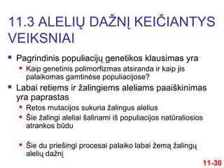  Pagrindinis populiacijų genetikos klausimas yra
 Kaip genetinis polimorfizmas atsiranda ir kaip jis
palaikomas gamtinėse populiacijose?
 Labai retiems ir žalingiems aleliams paaiškinimas
yra paprastas
 Retos mutacijos sukuria žalingus alelius
 Šie žalingi aleliai šalinami iš populiacijos natūraliosios
atrankos būdu
 Šie du priešingi procesai palaiko labai žemą žalingų
alelių dažnį
11.3 ALELIŲ DAŽNĮ KEIČIANTYS
VEIKSNIAI
11-30
 