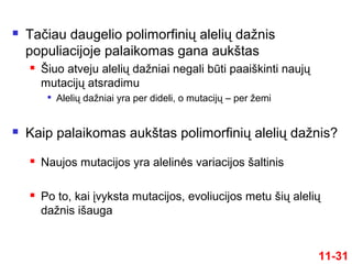  Tačiau daugelio polimorfinių alelių dažnis
populiacijoje palaikomas gana aukštas
 Šiuo atveju alelių dažniai negali būti paaiškinti naujų
mutacijų atsradimu

Alelių dažniai yra per dideli, o mutacijų – per žemi
 Kaip palaikomas aukštas polimorfinių alelių dažnis?
 Naujos mutacijos yra alelinės variacijos šaltinis
 Po to, kai įvyksta mutacijos, evoliucijos metu šių alelių
dažnis išauga
11-31
 