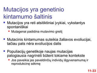  Mutacijos yra reti atsitiktiniai įvykiai, vykstantys
spontaniškai
 Mutagenai padidina mutavimo greitį
 Mutacinis kintamumas suteikia žaliavos evoliucijai,
tačiau pats nėra evoliucijos dalis
 Populiacijų genetikoje naujas mutacijas
patogiausia nagrinėti būtent tokiame kontekste
 Jos paveikia jas paveldinčių individų išgyvenamumą ir
reprodukcinę sėkmę
Mutacijos yra genetinio
kintamumo šaltinis
11-33
 
