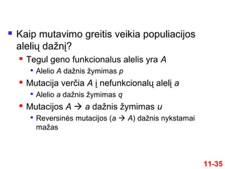  Kaip mutavimo greitis veikia populiacijos
alelių dažnį?
 Tegul geno funkcionalus alelis yra A

Alelio A dažnis žymimas p
 Mutacija verčia A į nefunkcionalų alelį a

Alelio a dažnis žymimas q
 Mutacijos A  a dažnis žymimas u

Reversinės mutacijos (a  A) dažnis nykstamai
mažas
11-35
 