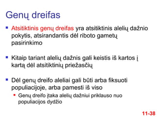  Atsitiktinis genų dreifas yra atsitiktinis alelių dažnio
pokytis, atsirandantis dėl riboto gametų
pasirinkimo
 Kitaip tariant alelių dažnis gali keistis iš kartos į
kartą dėl atsitiktinių priežasčių
 Dėl genų dreifo aleliai gali būti arba fiksuoti
populiacijoje, arba pamesti iš viso
 Genų dreifo įtaka alelių dažniui priklauso nuo
populiacijos dydžio
Genų dreifas
11-38
 