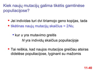  Jei individas turi dvi tiriamojo geno kopijas, tada
 tikėtinas naujų mutacijų skaičius = 2Nu,

kur u yra mutavimo greitis
N yra individų skaičius populiacijoje
 Tai reiškia, kad naujos mutacijos greičiau atsiras
didelėse populiacijose, lyginant su mažomis
11-40
Kiek naujų mutacijų galima tikėtis gamtinėse
populiacijose?
 