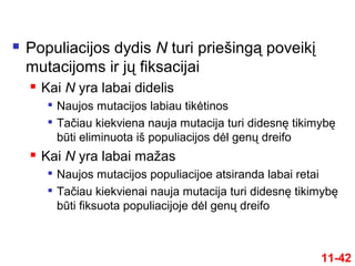  Populiacijos dydis N turi priešingą poveikį
mutacijoms ir jų fiksacijai
 Kai N yra labai didelis

Naujos mutacijos labiau tikėtinos

Tačiau kiekviena nauja mutacija turi didesnę tikimybę
būti eliminuota iš populiacijos dėl genų dreifo
 Kai N yra labai mažas

Naujos mutacijos populiacijoe atsiranda labai retai

Tačiau kiekvienai nauja mutacija turi didesnę tikimybę
būti fiksuota populiacijoje dėl genų dreifo
11-42
 