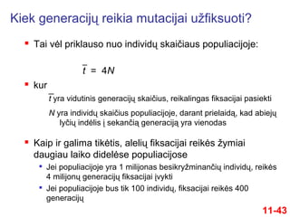  Tai vėl priklauso nuo individų skaičiaus populiacijoje:
11-43
t = 4N
 kur
t yra vidutinis generacijų skaičius, reikalingas fiksacijai pasiekti
N yra individų skaičius populiacijoje, darant prielaidą, kad abiejų
lyčių indėlis į sekančią generaciją yra vienodas
 Kaip ir galima tikėtis, alelių fiksacijai reikės žymiai
daugiau laiko didelėse populiacijose

Jei populiacijoje yra 1 milijonas besikryžminančių individų, reikės
4 milijonų generacijų fiksacijai įvykti

Jei populiacijoje bus tik 100 individų, fiksacijai reikės 400
generacijų
Kiek generacijų reikia mutacijai užfiksuoti?
 